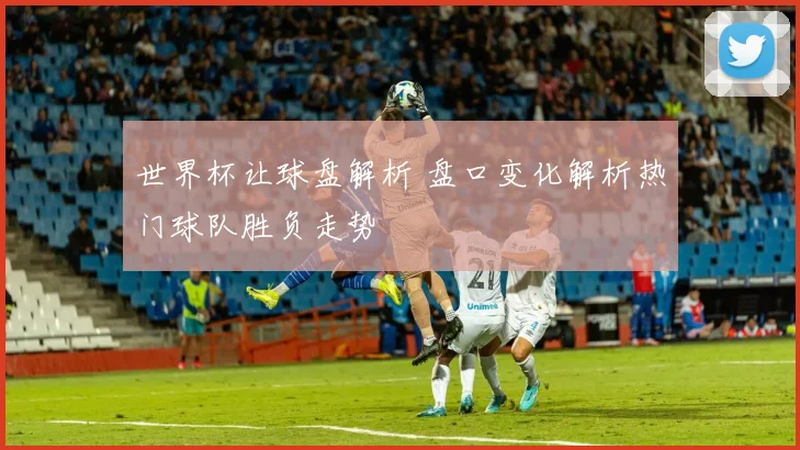 世界杯让球盘解析 盘口变化解析热门球队胜负走势