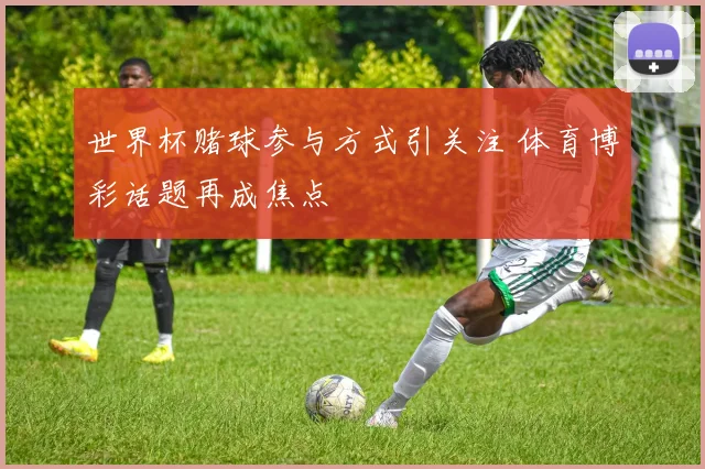 世界杯赌球参与方式引关注 体育博彩话题再成焦点