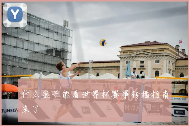 什么盒子能看世界杯赛事转播指南来了