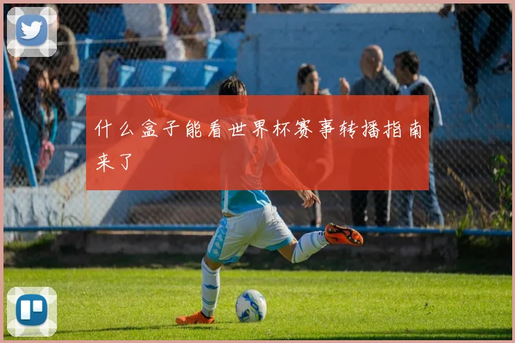 什么盒子能看世界杯赛事转播指南来了
